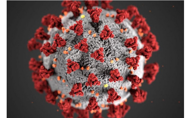 Covid-19 : la tendance à la hausse des cas et décès reprend dans le monde